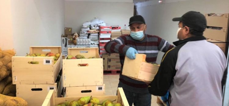 Donació de Fruita del Banc d´Aliments