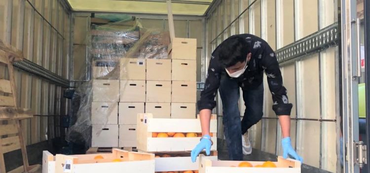 Donació de fruita del Banc dels Aliments