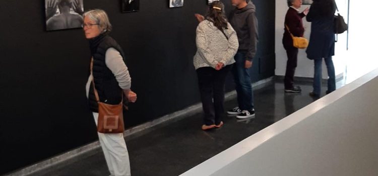 Exposició YAMA a Torroella de Montgrí